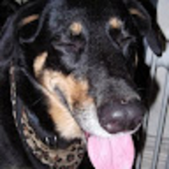 Meet your Posher, Sarah leanne - Picture 1 of 1